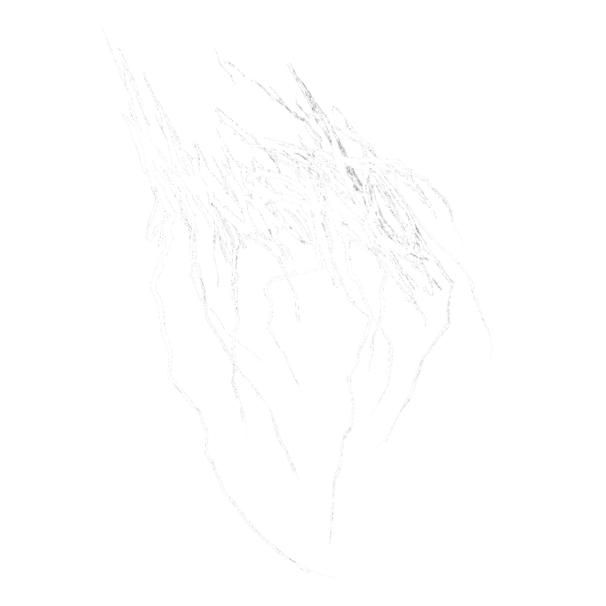 Logo design 6